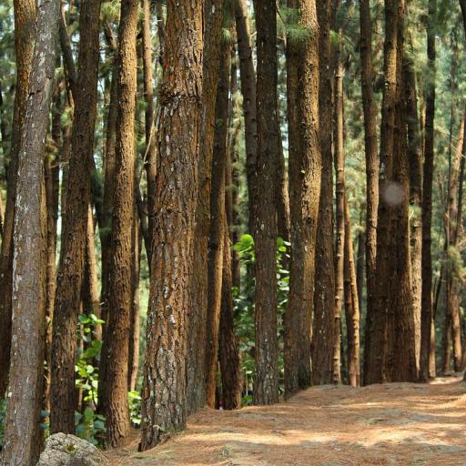 Explore India package